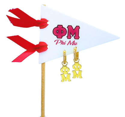 E208 Sorority Greek Letter Earrings Huggie Hoops